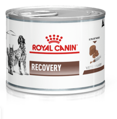Royal Canin Recovery Yaş Mama 195gr X 6 ADET