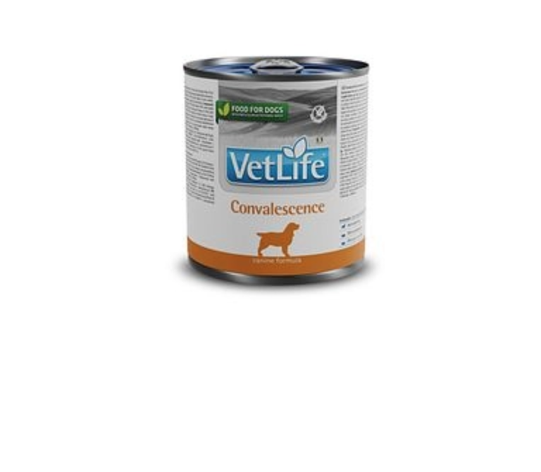 VET LİFE Convalescense köpek yaş konserve maması 300gr