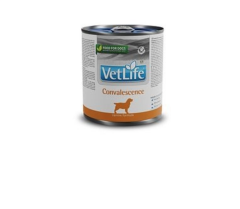 VET LİFE Convalescense köpek yaş konserve maması 300gr